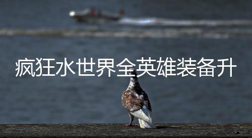 搭配装备攻略界全技能疯狂英雄词条水世升星
