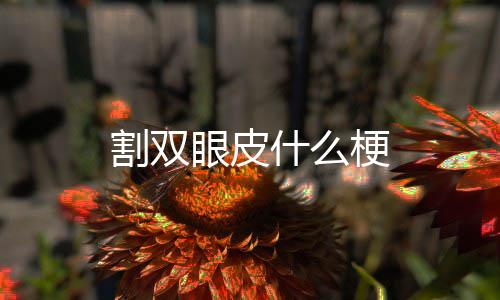 割双梗眼皮什么