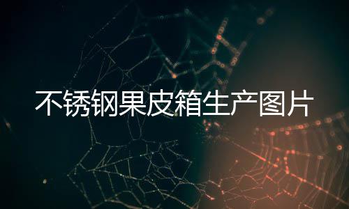 皮箱不锈钢果图片生产