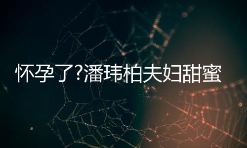 宣云潘玮拍 了蜜互柏夫不露宽松正面怀孕妇甜衣着
