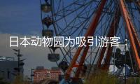 日本动物园为吸引游客：让人扮演大熊猫在笼中展出