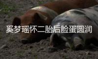 奚梦瑶怀二胎后脸蛋圆润气色好 自曝孕吐严重
