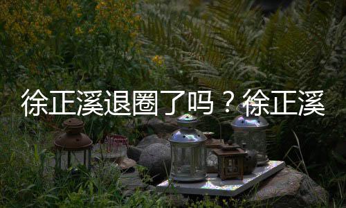徐正溪退徐正溪宣吗位布告别演员岗圈了