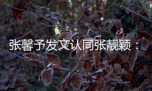 文认鼻子张馨会蹬靓颖同张退予发一步上脸