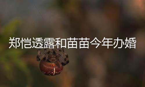 儿小小酸苗今名叫年办 女奶郑恺和苗婚礼透露