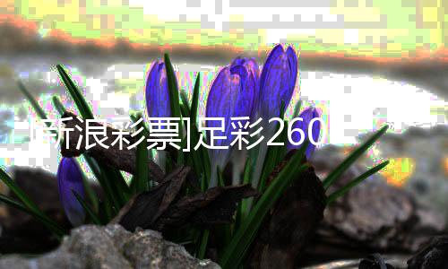 新票浪彩伦西稳巴足彩指数盈亏亚不0期